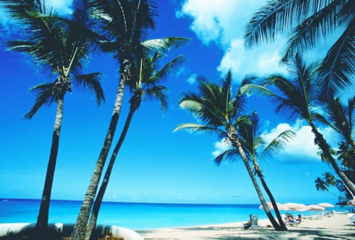  Low-Cost Holiday Vacations to Barbados